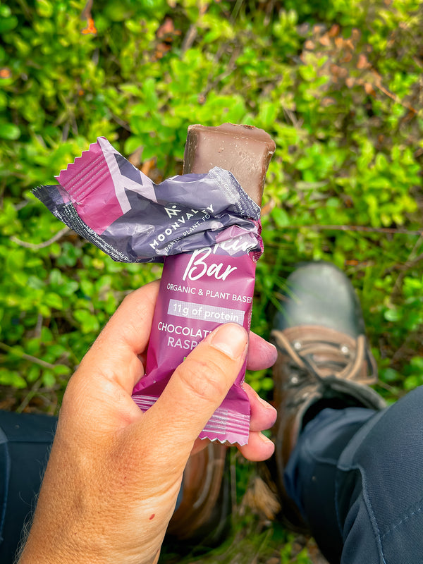 Vegan protein bar - Gluten free and healthy bar, before,