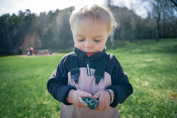 Vegan Gluten-Free Protein Bars