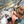 Person eating a Moonvalley energy bar during a dog walk by a stream.