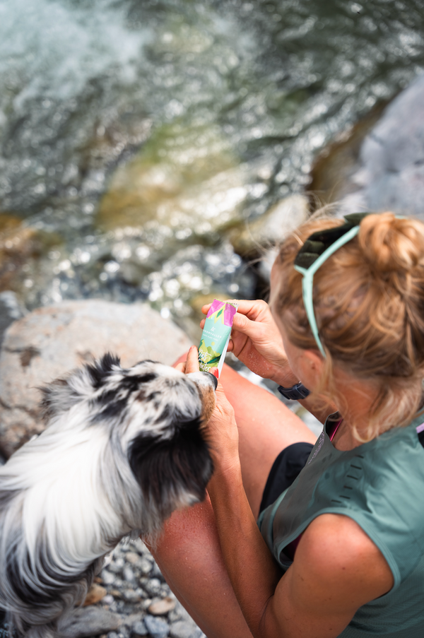Person eating a Moonvalley energy bar during a dog walk by a stream.