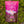 Moonvalley organic chocolate recovery drink powder, photographed in a natural outdoor setting.