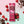 Organic Chocolate-Dipped Raspberry protein bar with fresh raspberries and dark chocolate chunks.